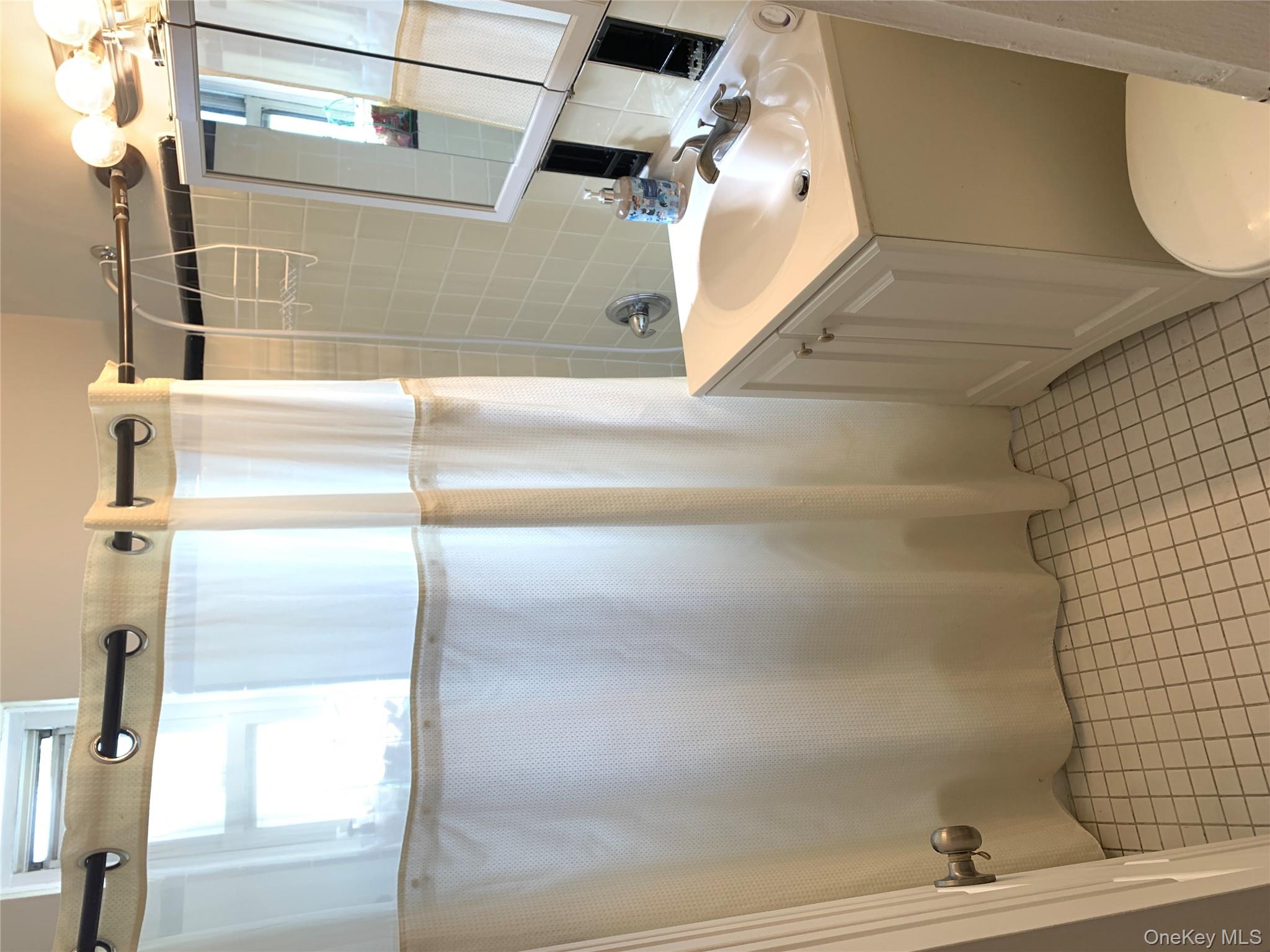 30 Davenport Avenue, Unit 1B New Rochelle, NY 10805 - Photo 8 of 16 a bathroom with a sink toilet and shower