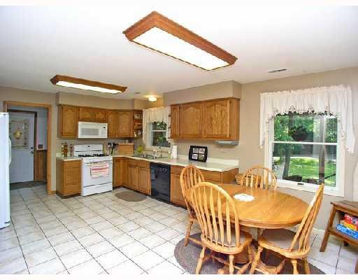 12861 East Austin Road Manchester, MI 48158 - Photo 4 of 10 Photo 4