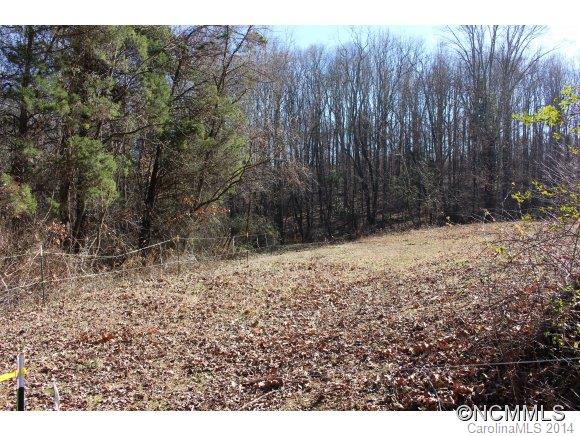 99999 Justice Ridge Road Candler, NC 28715 - Photo 1 of 1 Gallery Image 1