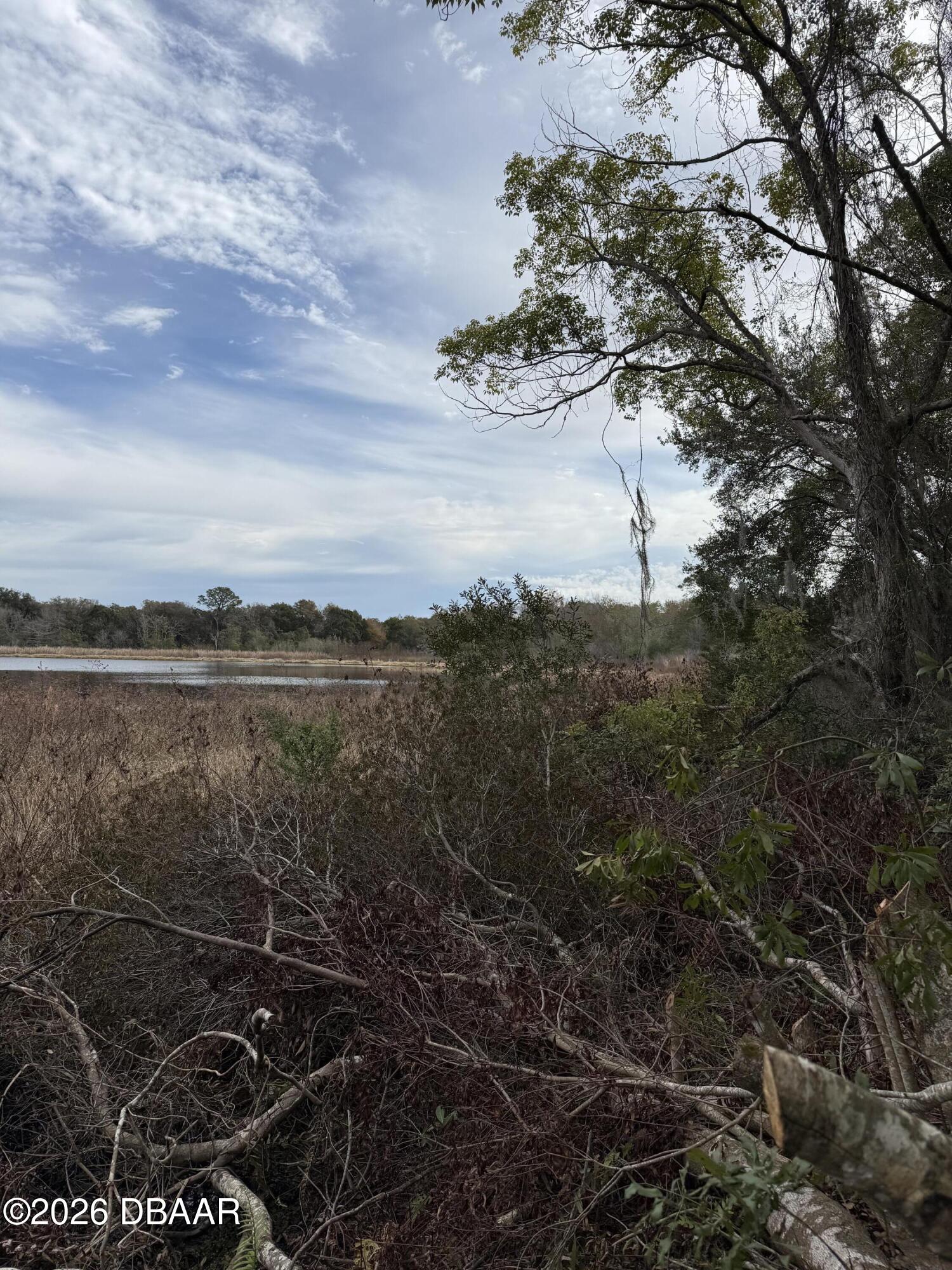 0 Huntington Road Crescent City, FL 32112 - Photo 5 of 15 a view of a lake