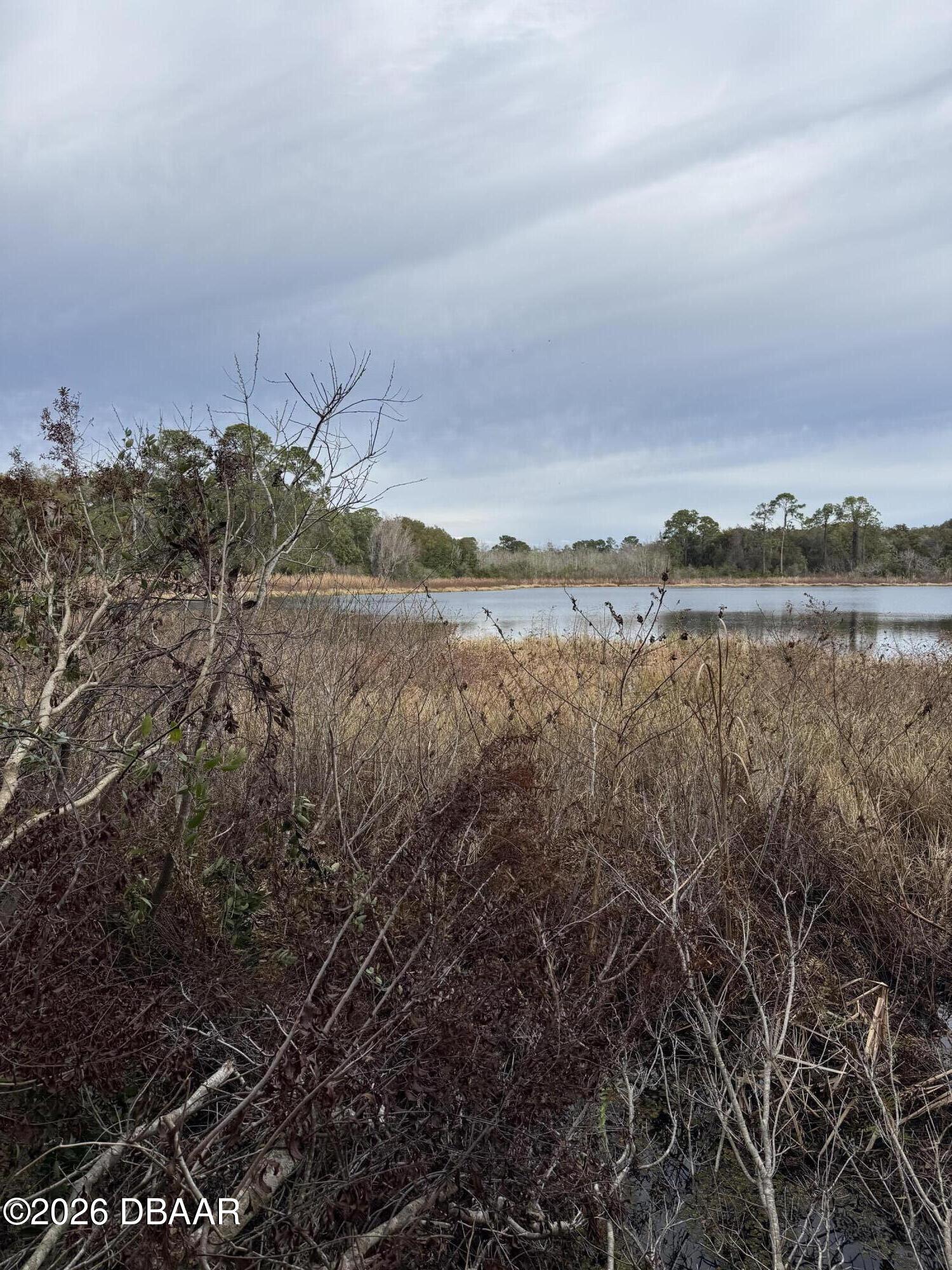 0 Huntington Road Crescent City, FL 32112 - Photo 7 of 15 a view of lake with mountain