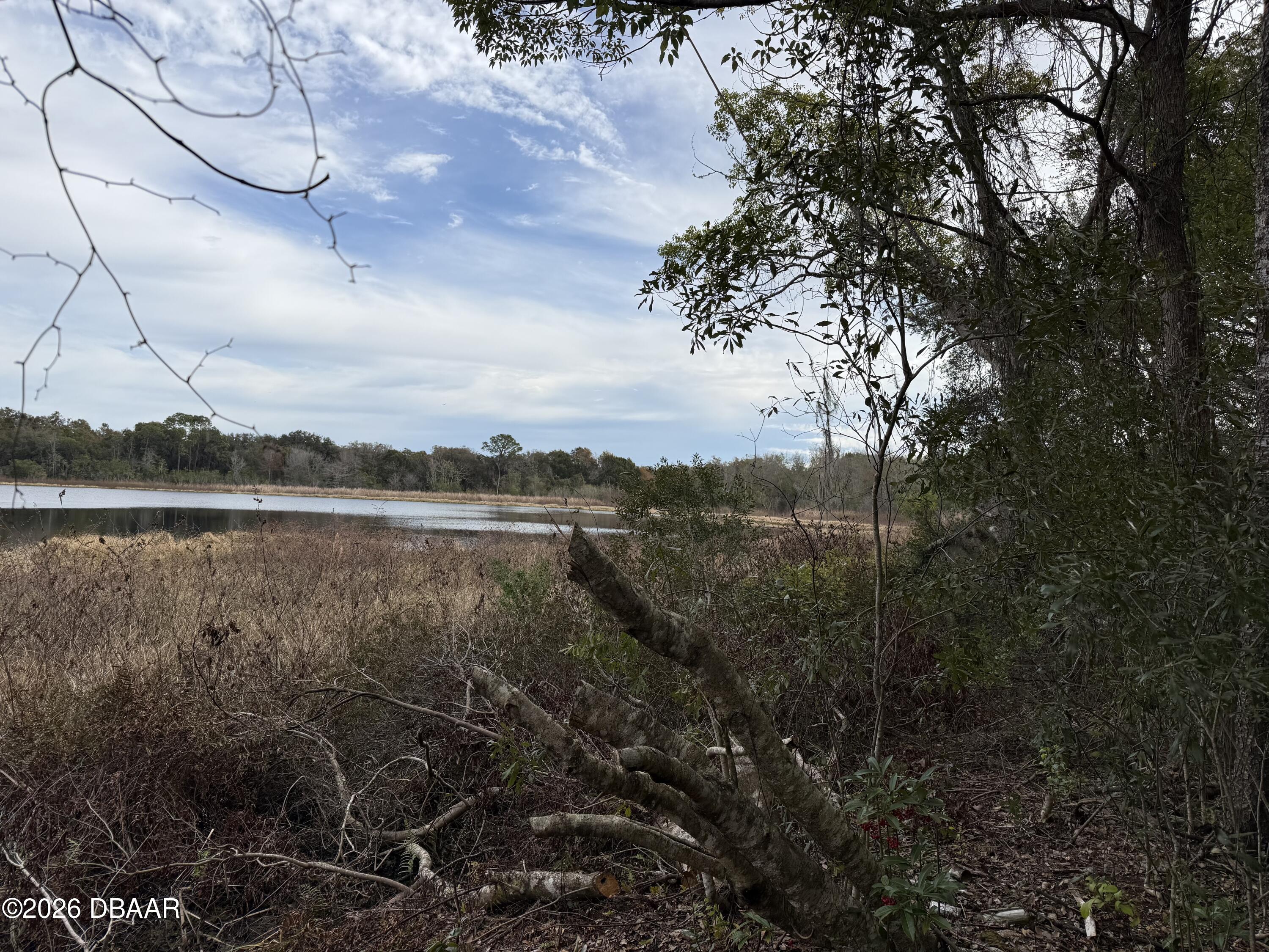 0 Huntington Road Crescent City, FL 32112 - Photo 8 of 15 a view of a lake with a city