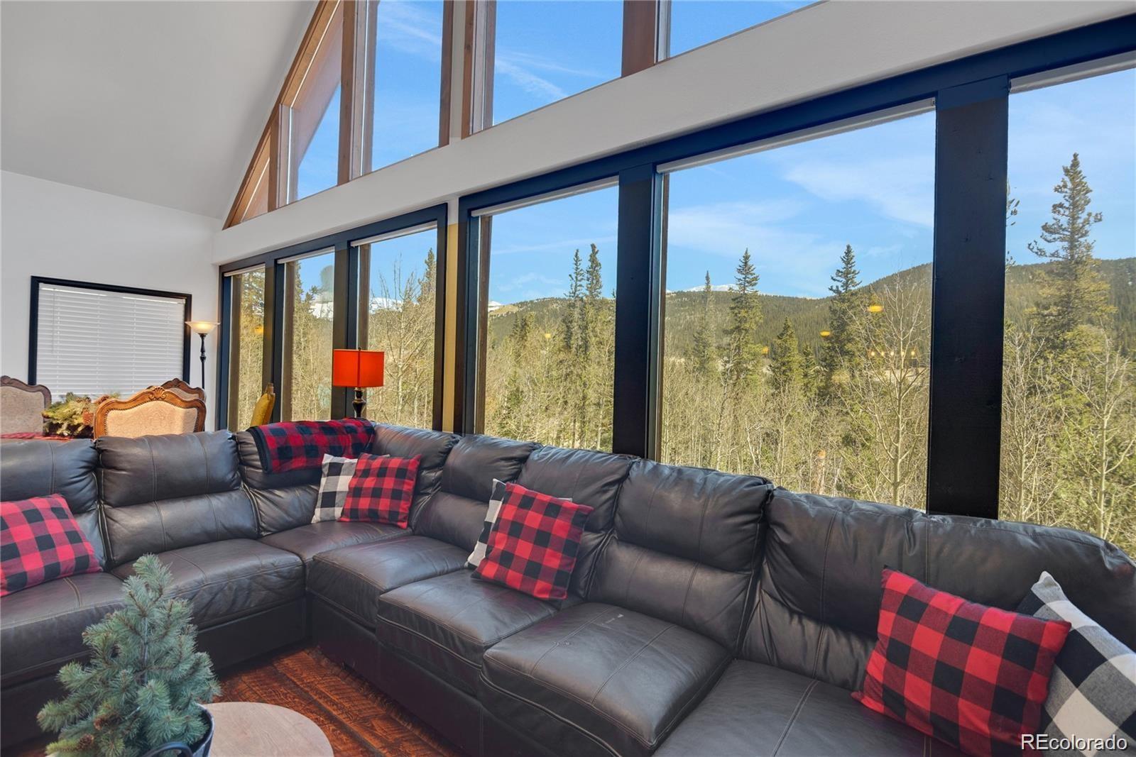496 Quartzville Road Alma, CO 80420 - Photo 2 of 25