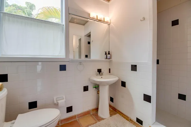 a view of a garden with plants