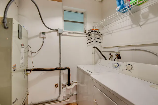 a view of a backyard with plants