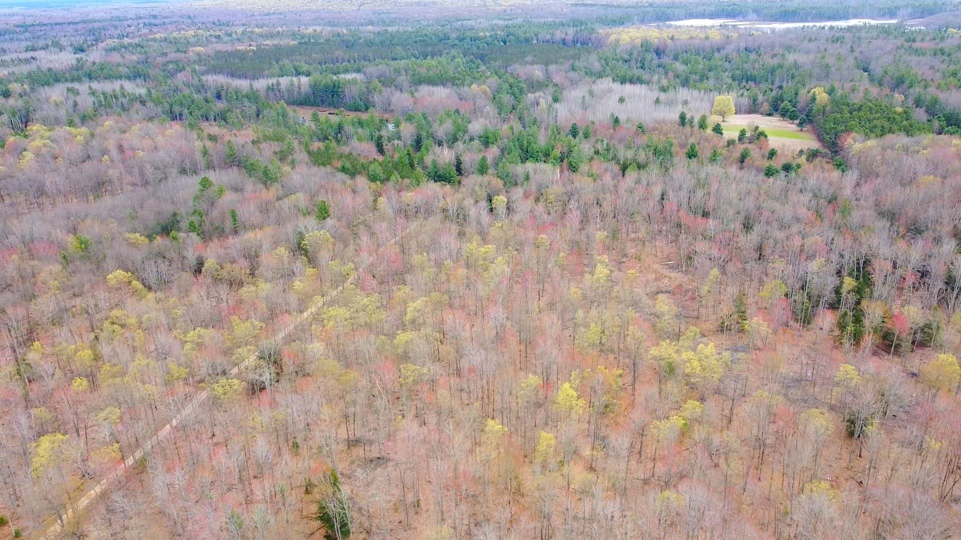 Southeast Spencer Road Southeast Kalkaska, MI 49646 - Photo 16 of 36