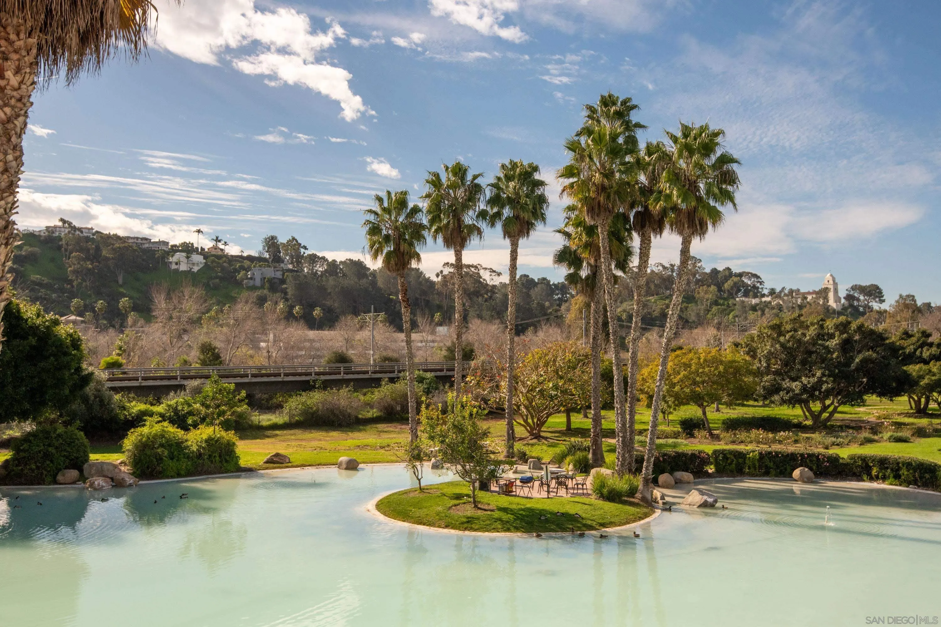 5705 Friars Road, Unit 54 San Diego, CA 92110 - Photo 28 of 30 a view of a swimming pool with a yard and palm trees