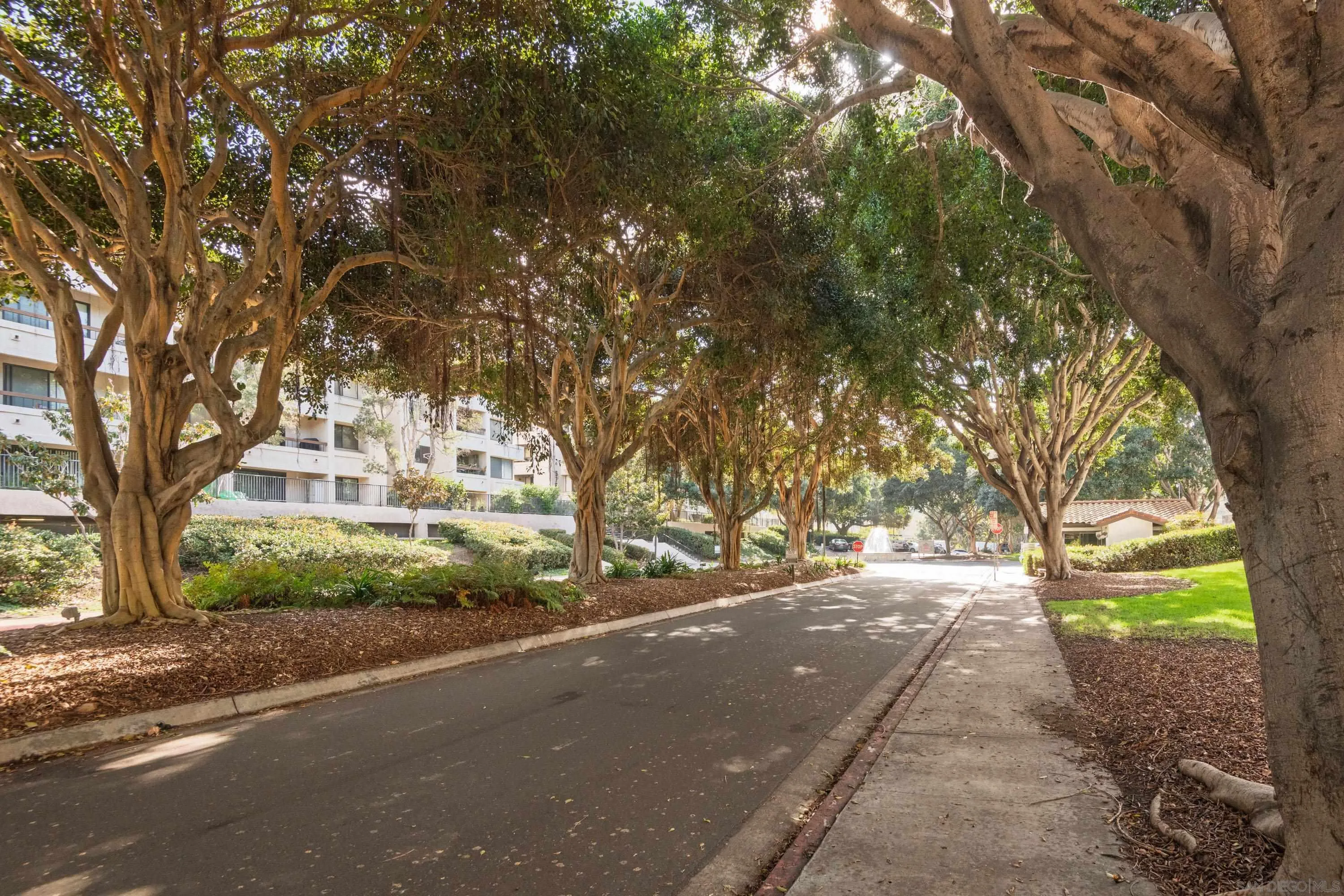 5705 Friars Road, Unit 54 San Diego, CA 92110 - Photo 29 of 30 a view of a yard with plants and trees