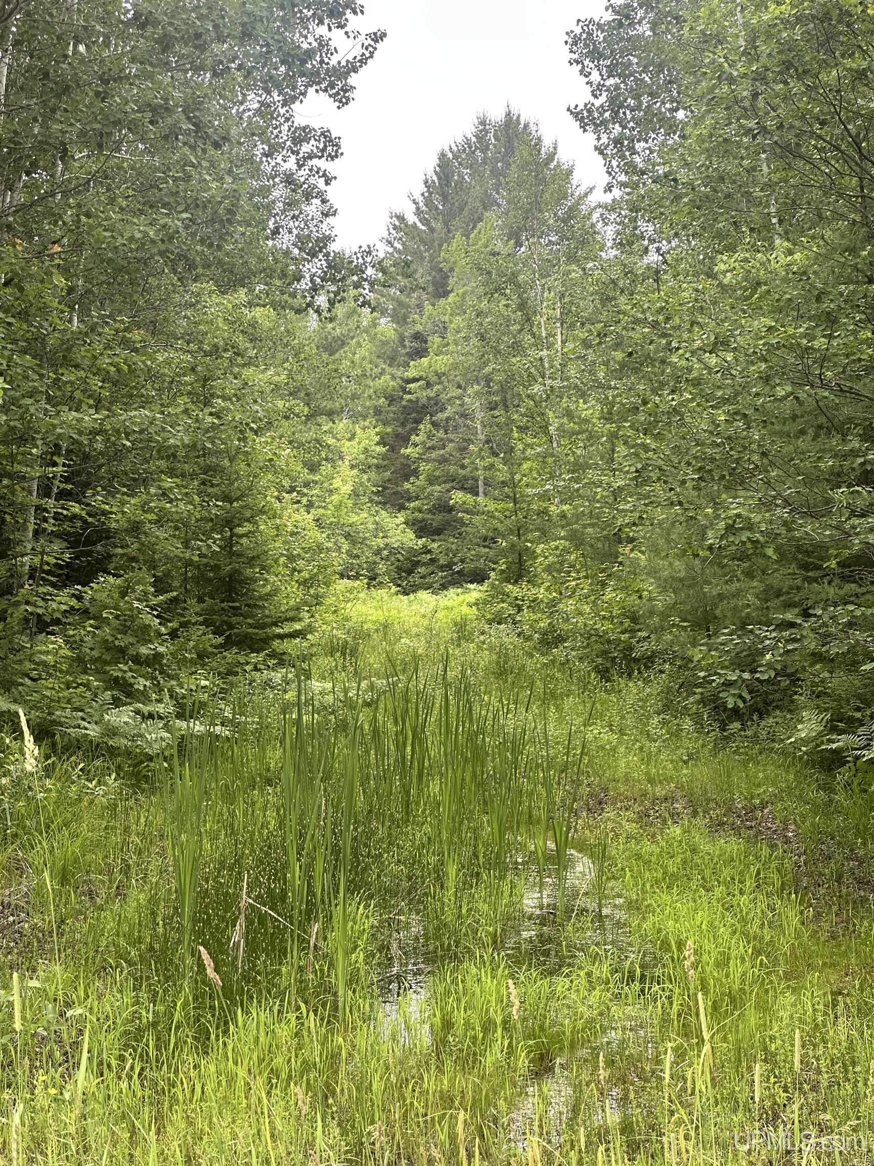 Tbd Deerton Onota Road Deerton, MI 49822 - Photo 3 of 9