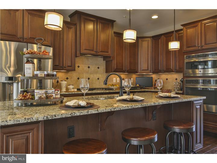3806 Jacob Stout Road Doylestown, PA 18902 - Photo 7 of 9 Gallery Image 7