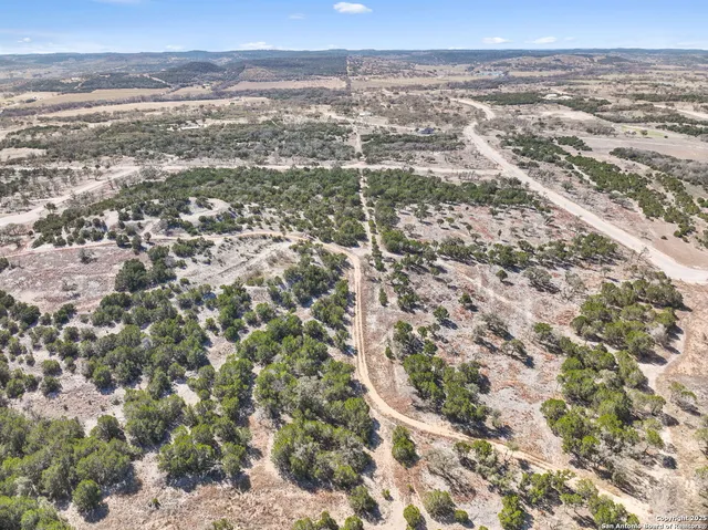 a close up of a plant