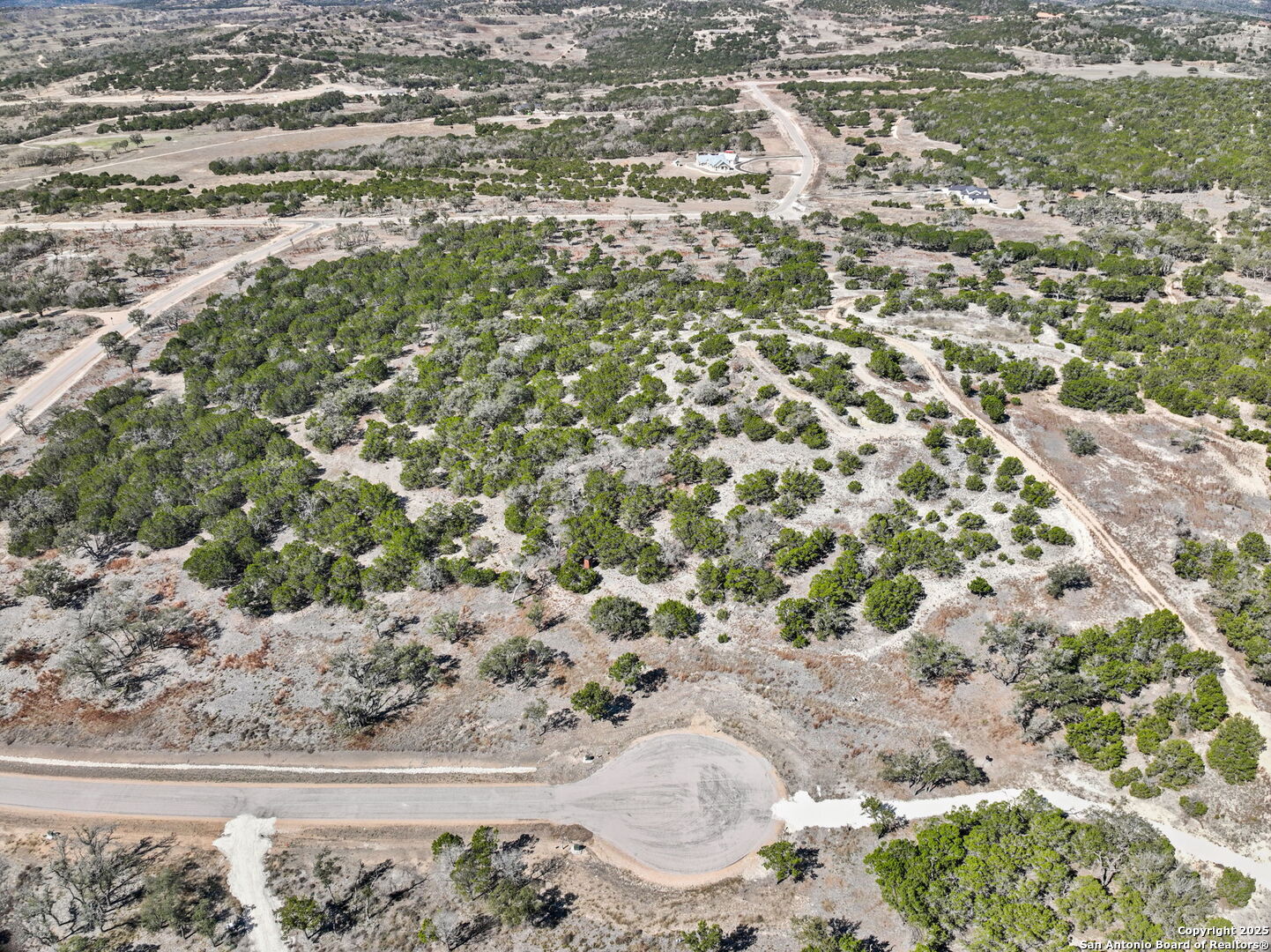 Tbd Citadel Center Point, TX 78010 - Photo 22 of 22 a close up of a plant