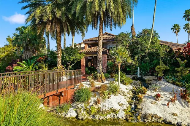 a view of a backyard with palm trees