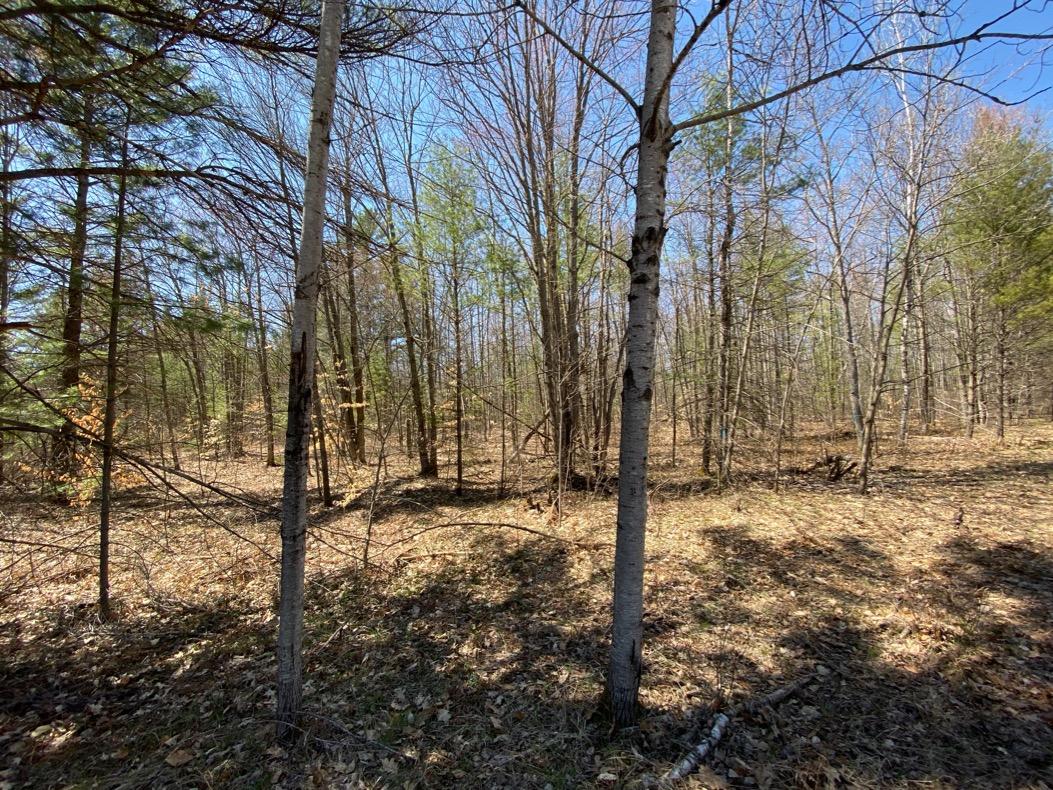 120-acres Amoco Road Gaylord, MI 49735 - Photo 2 of 9 Gallery Image 2