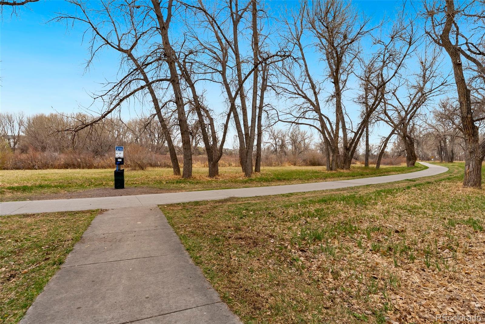 10733 Twenty Mile Road, Unit 208 Parker, CO 80134 - Photo 40 of 42 a park view with large trees