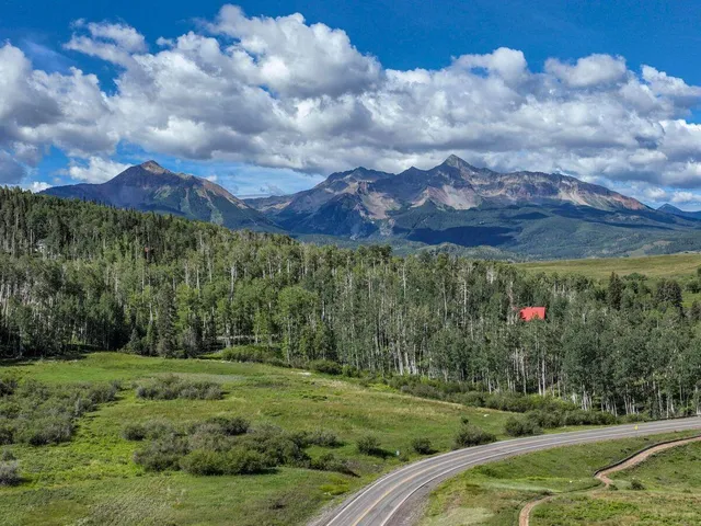 a view of a city with lush green forest