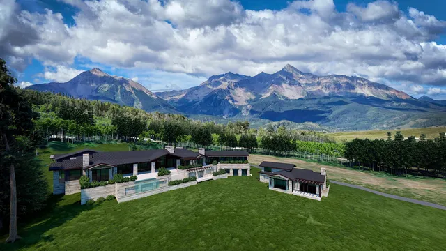 a view of a patio with table and chairs potted plants and a big yard