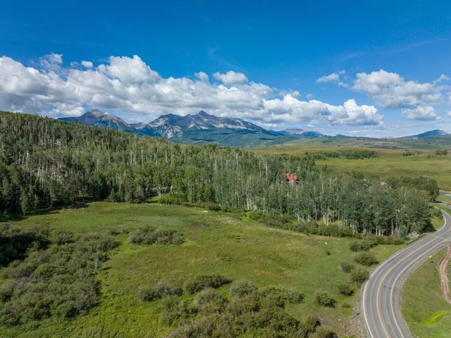 a view of a big yard with large trees