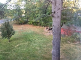 960 Wakefield Road Wakefield, NH 03887 - Photo 22 of 33