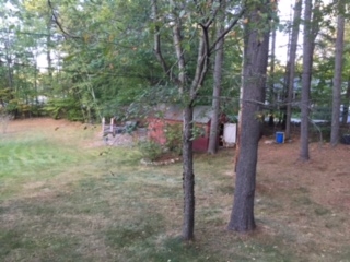 960 Wakefield Road Wakefield, NH 03887 - Photo 24 of 33