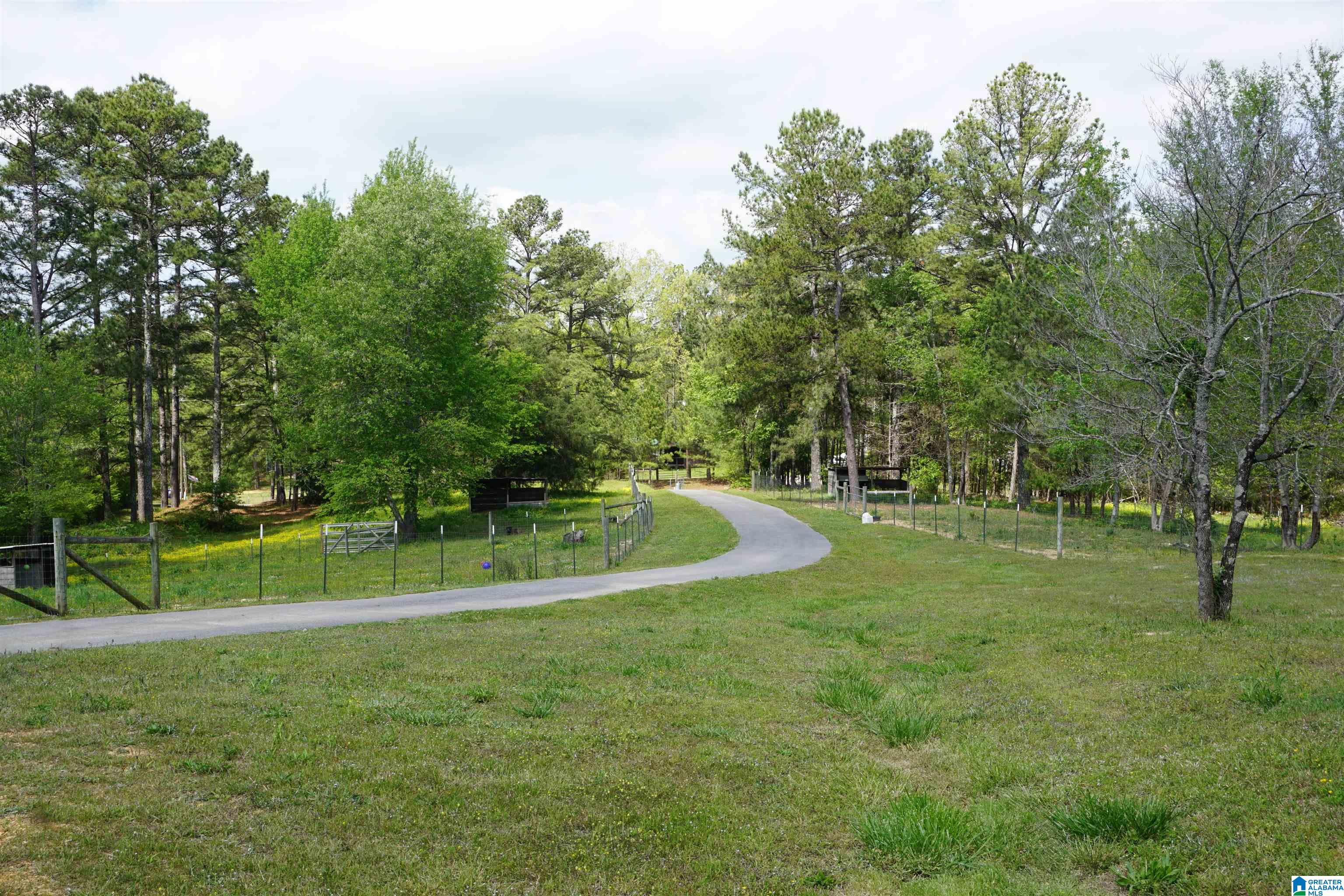 834 Mt Gilead Road Jacksonville, AL 36265 - Photo 3 of 26