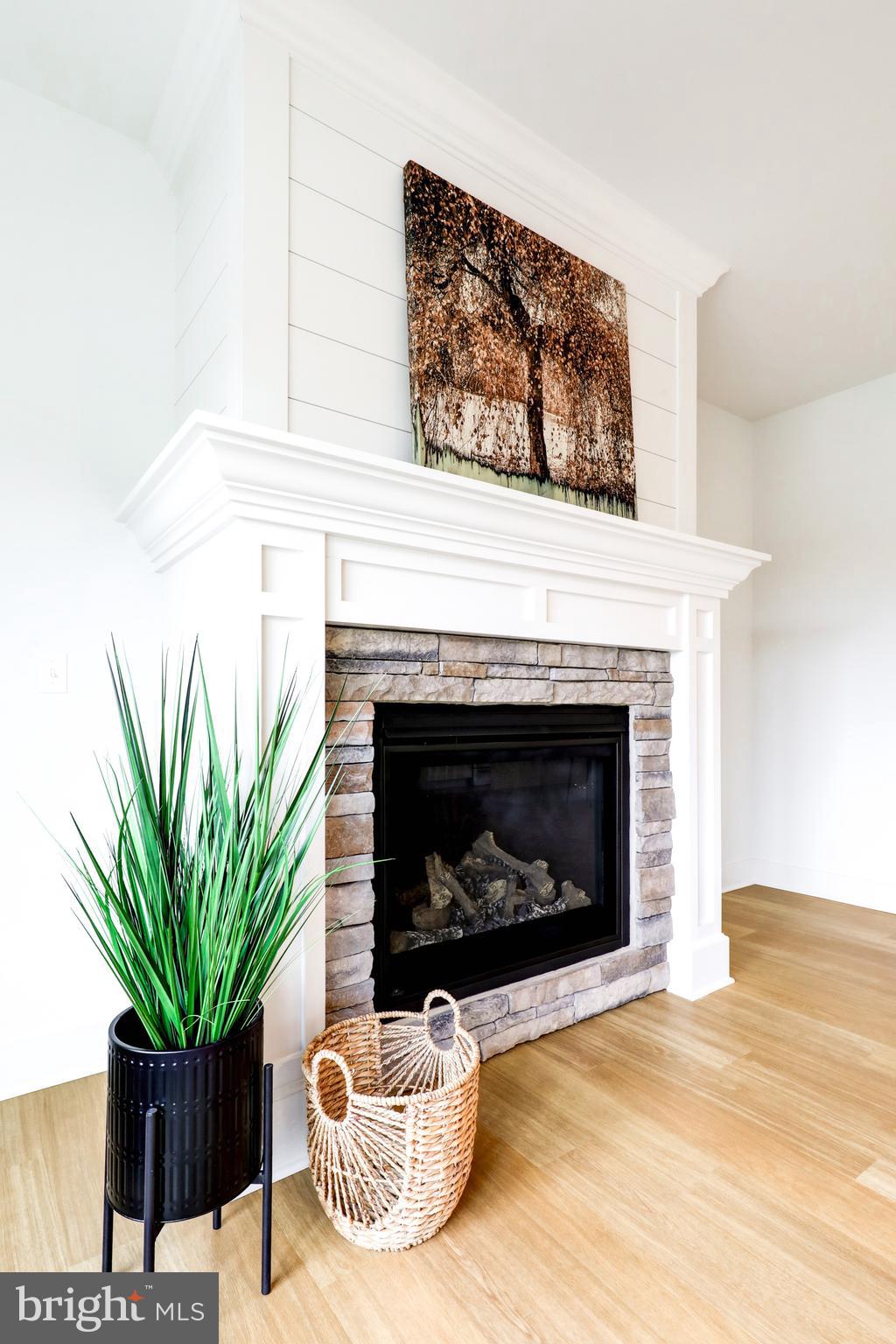 218 Parkside Place Lancaster, PA 17602 - Photo 7 of 48 a living room with a potted plant a fireplace and a potted plant