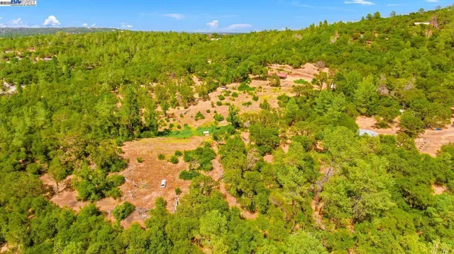 a view of a large yard with lots of trees