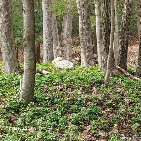 $50,000 | Merrow Road, Storrs Mansfield, CT 06268