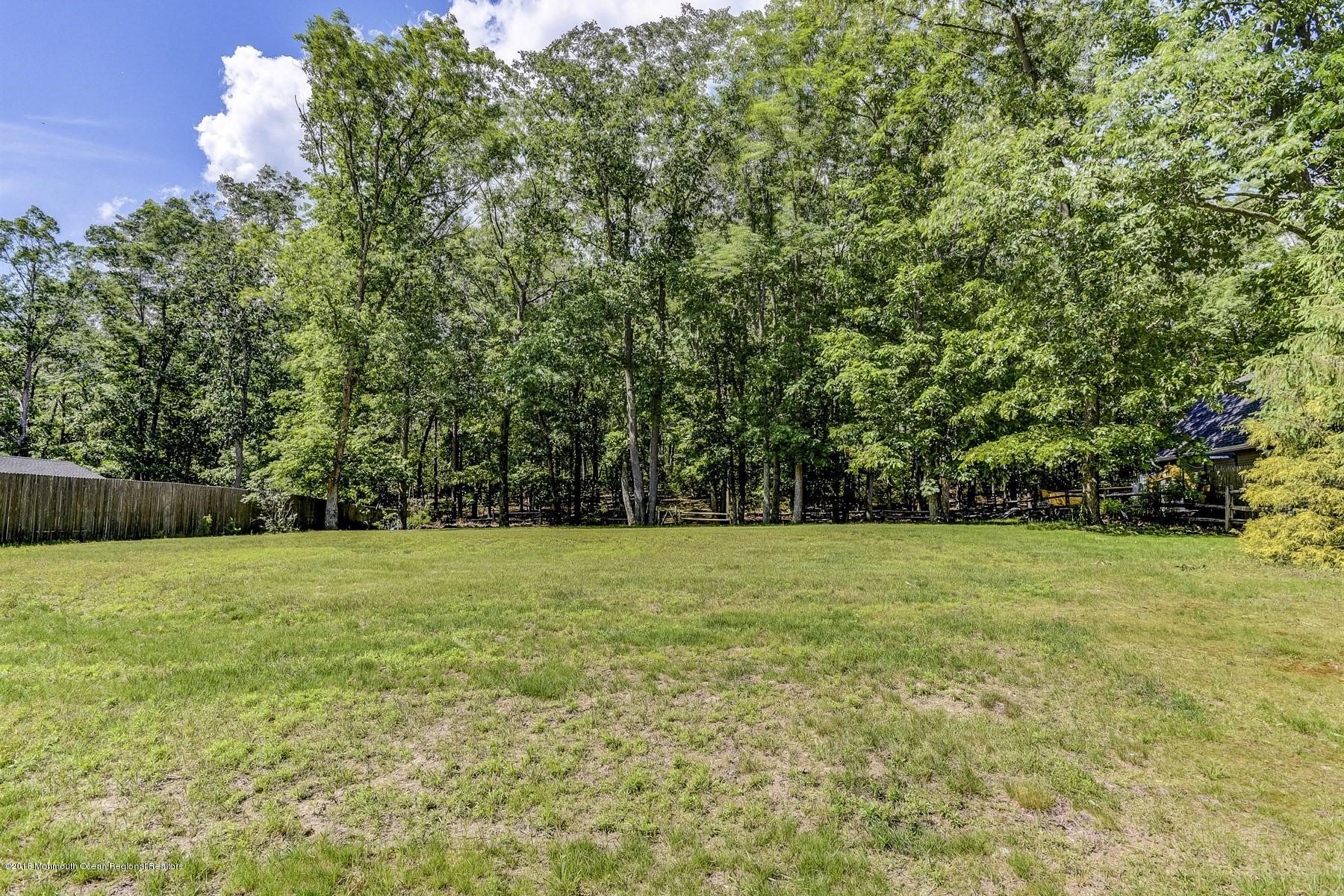 66 Thompson Bridge Road Jackson, NJ 08527 - Photo 34 of 34 a view of outdoor space and yard