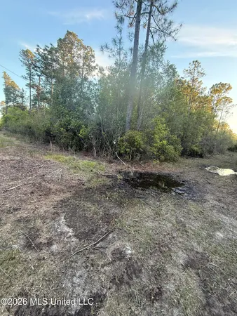 $35,000 | 13816 Forts Lake Road, Moss Point, MS 39562