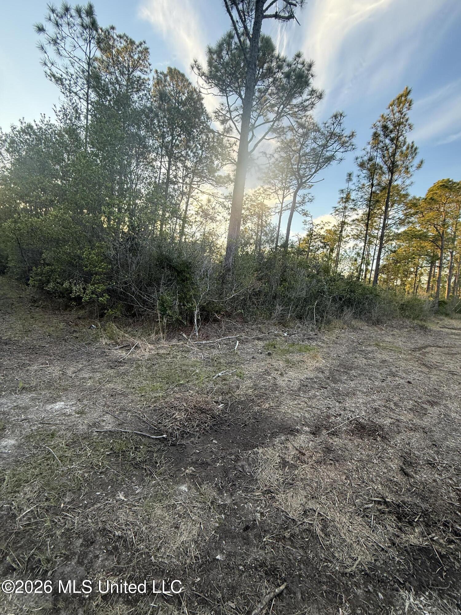 13816 Forts Lake Road Moss Point, MS 39562 - Photo 4 of 9 IMG_1427