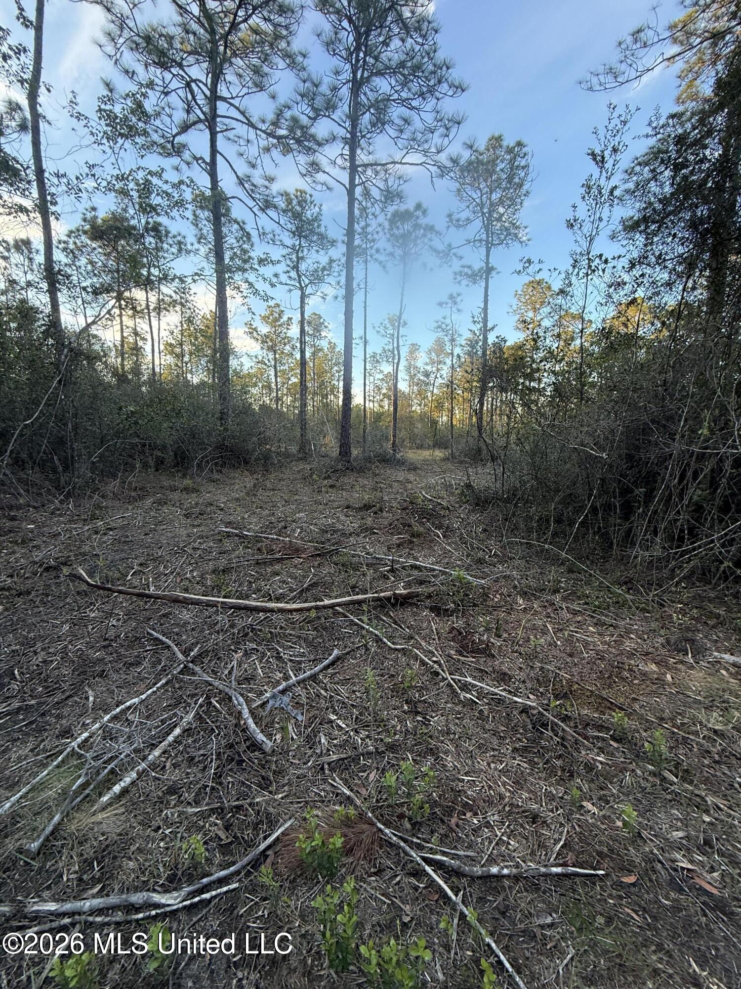 13816 Forts Lake Road Moss Point, MS 39562 - Photo 5 of 9 IMG_1430