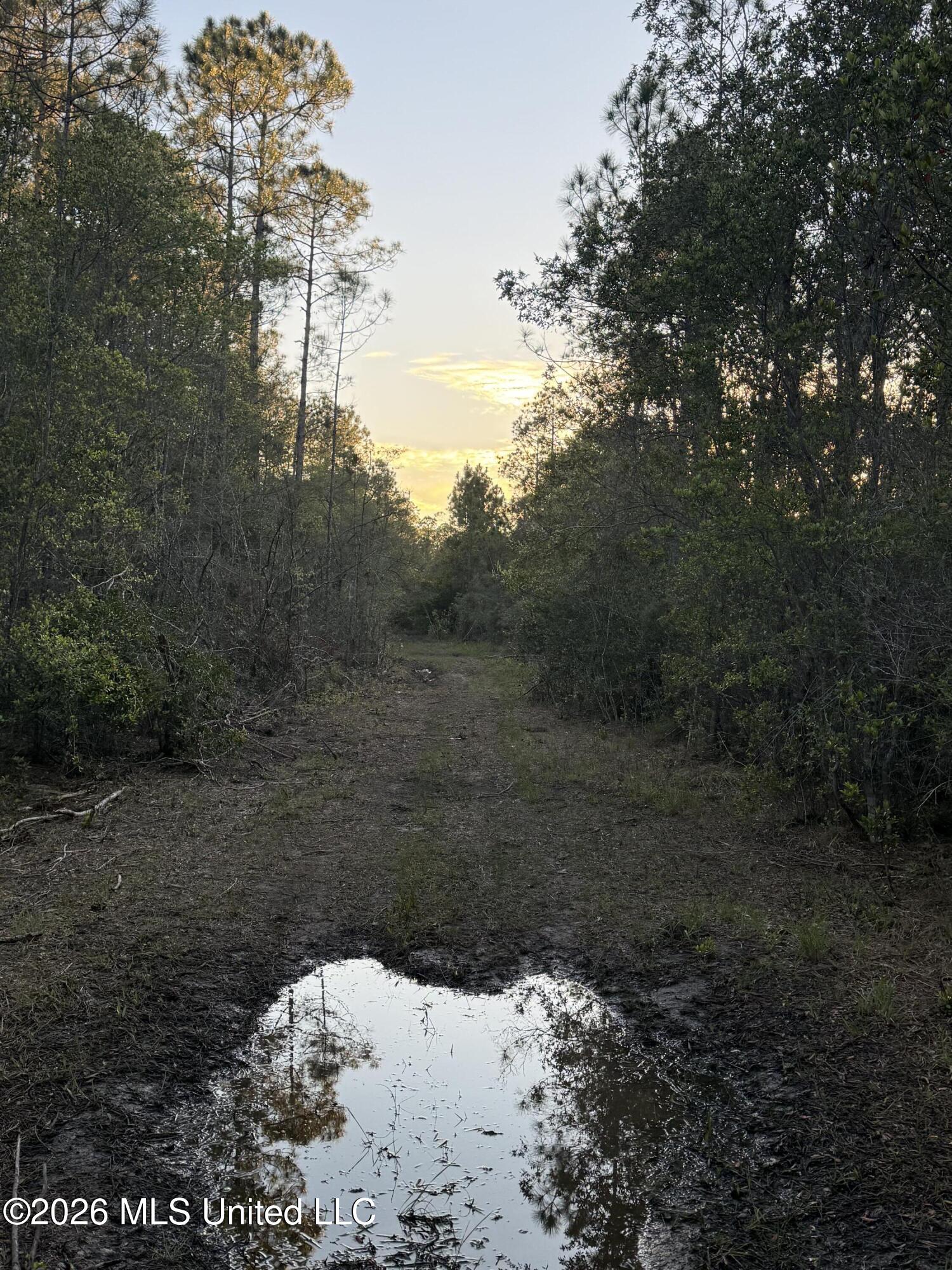13816 Forts Lake Road Moss Point, MS 39562 - Photo 7 of 9 IMG_1429