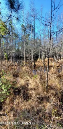 $35,000 | 13816 Forts Lake Road, Moss Point, MS 39562