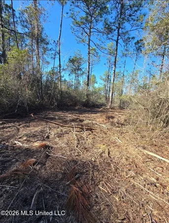 $35,000 | 13816 Forts Lake Road, Moss Point, MS 39562