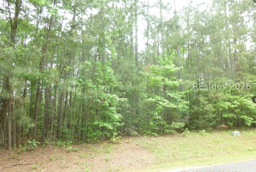 Lot 17-block 75 Deveraux Port McCormick, SC 29835 - Photo 4 of 4