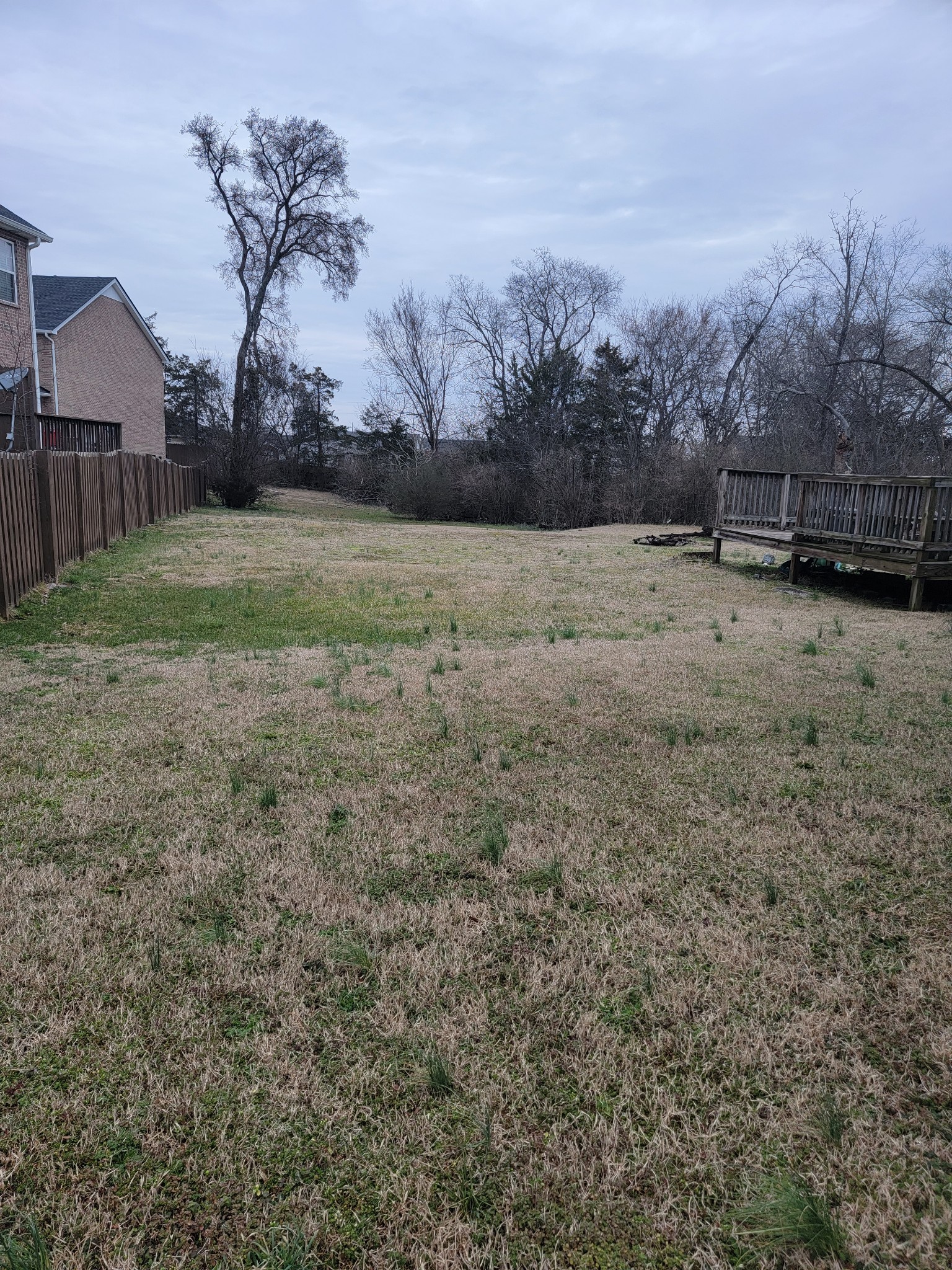 60 Franklin Road Lebanon, TN 37087 - Photo 4 of 4 a view of a backyard with green space