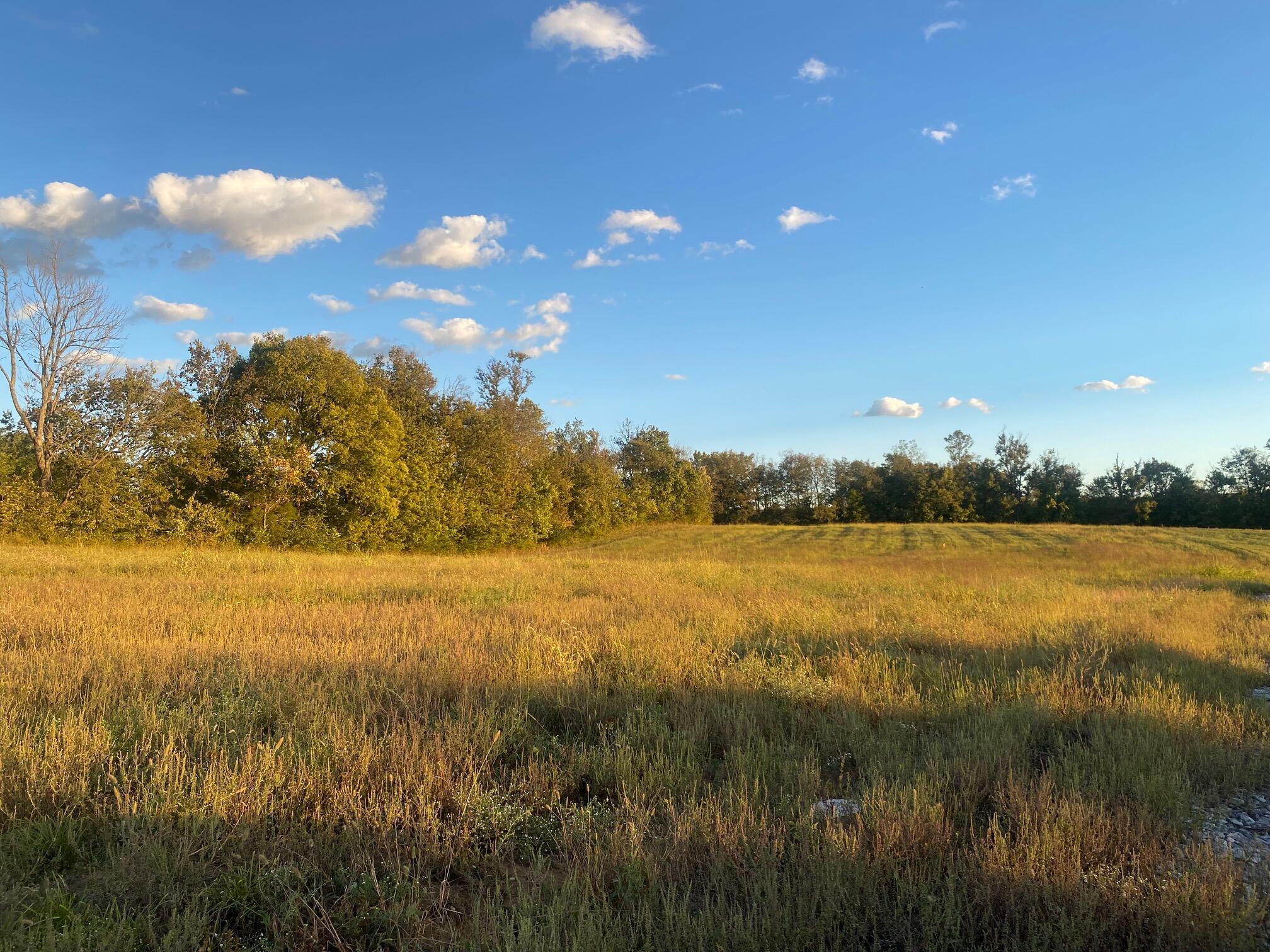 475 Nield Road Danville, KY 40422 - Photo 7 of 16 IMG_7806