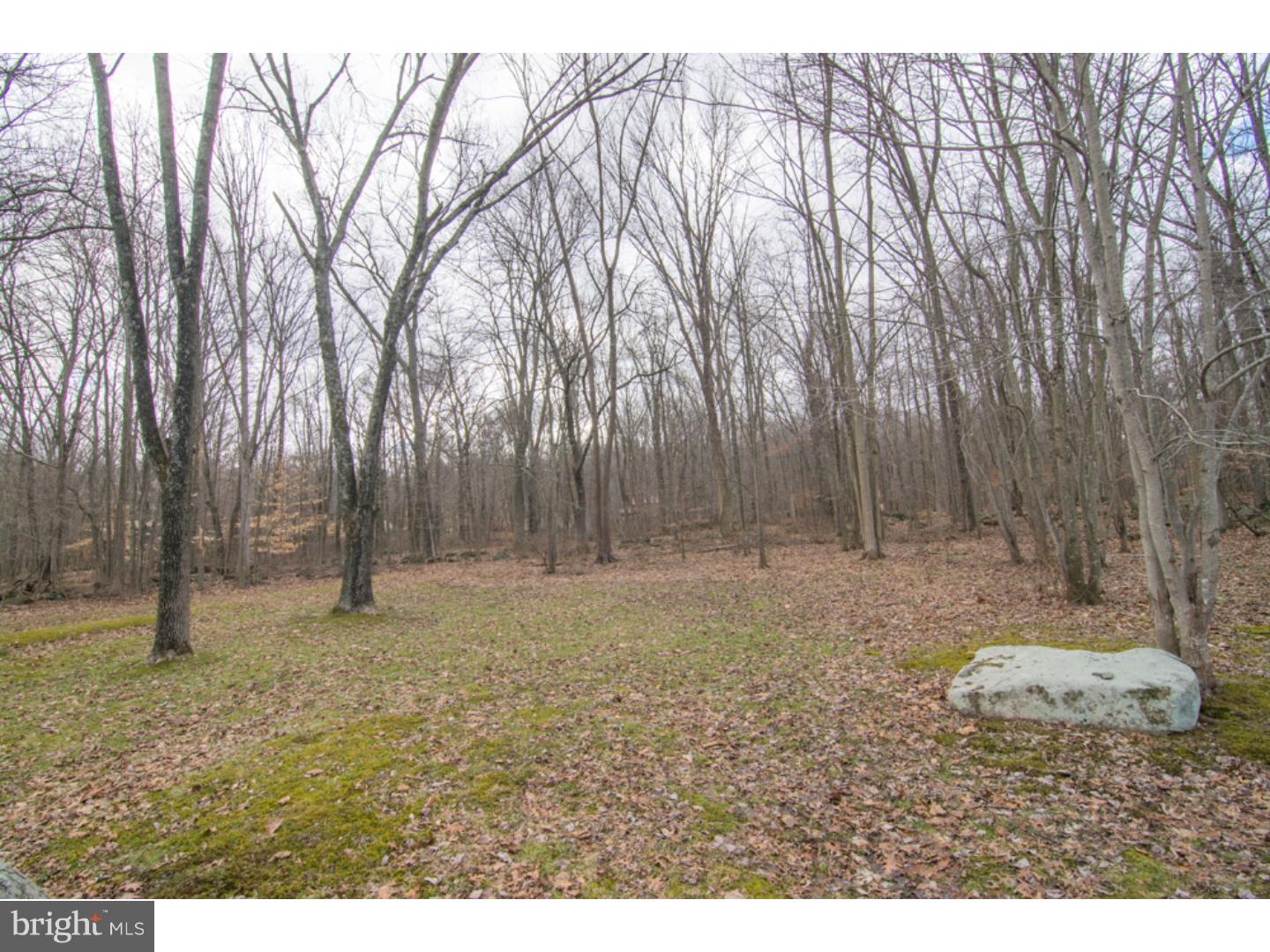 2810 Deep Creek Road Green Lane, PA 18054 - Photo 20 of 24 Exterior