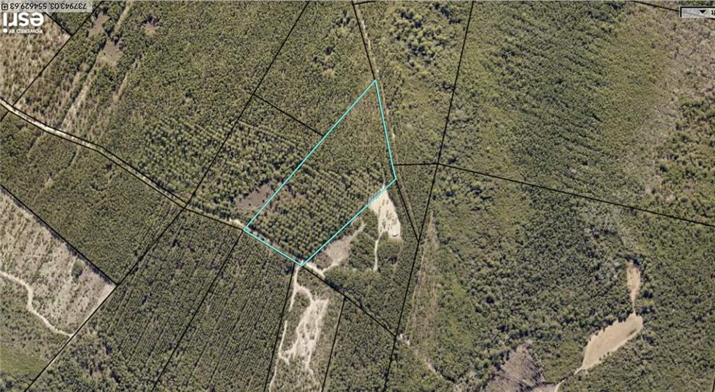 0 Long Ford Road Jesup, GA 31546 - Photo 6 of 8