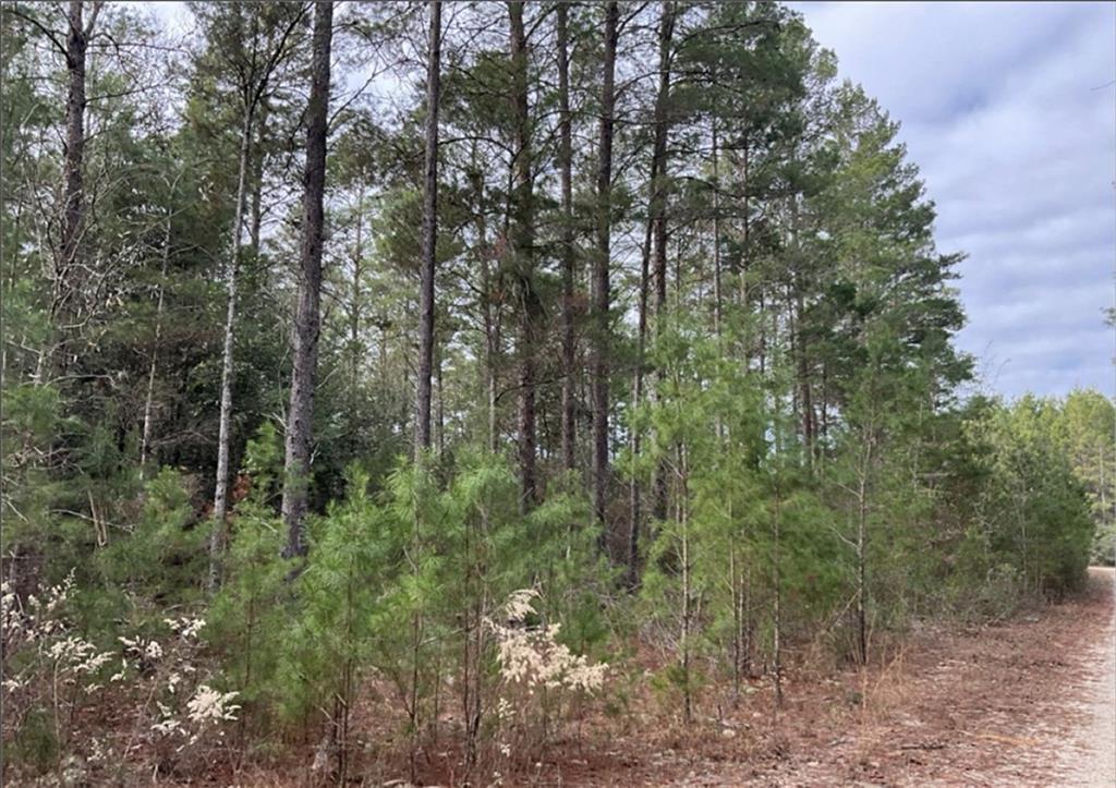 0 Long Ford Road Jesup, GA 31546 - Photo 8 of 8