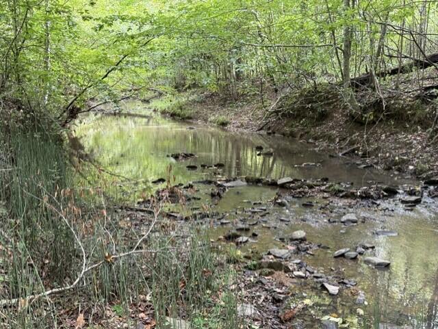 1471 New Bethel Road Meherrin, VA 23954 - Photo 26 of 26 Gallery Image 26
