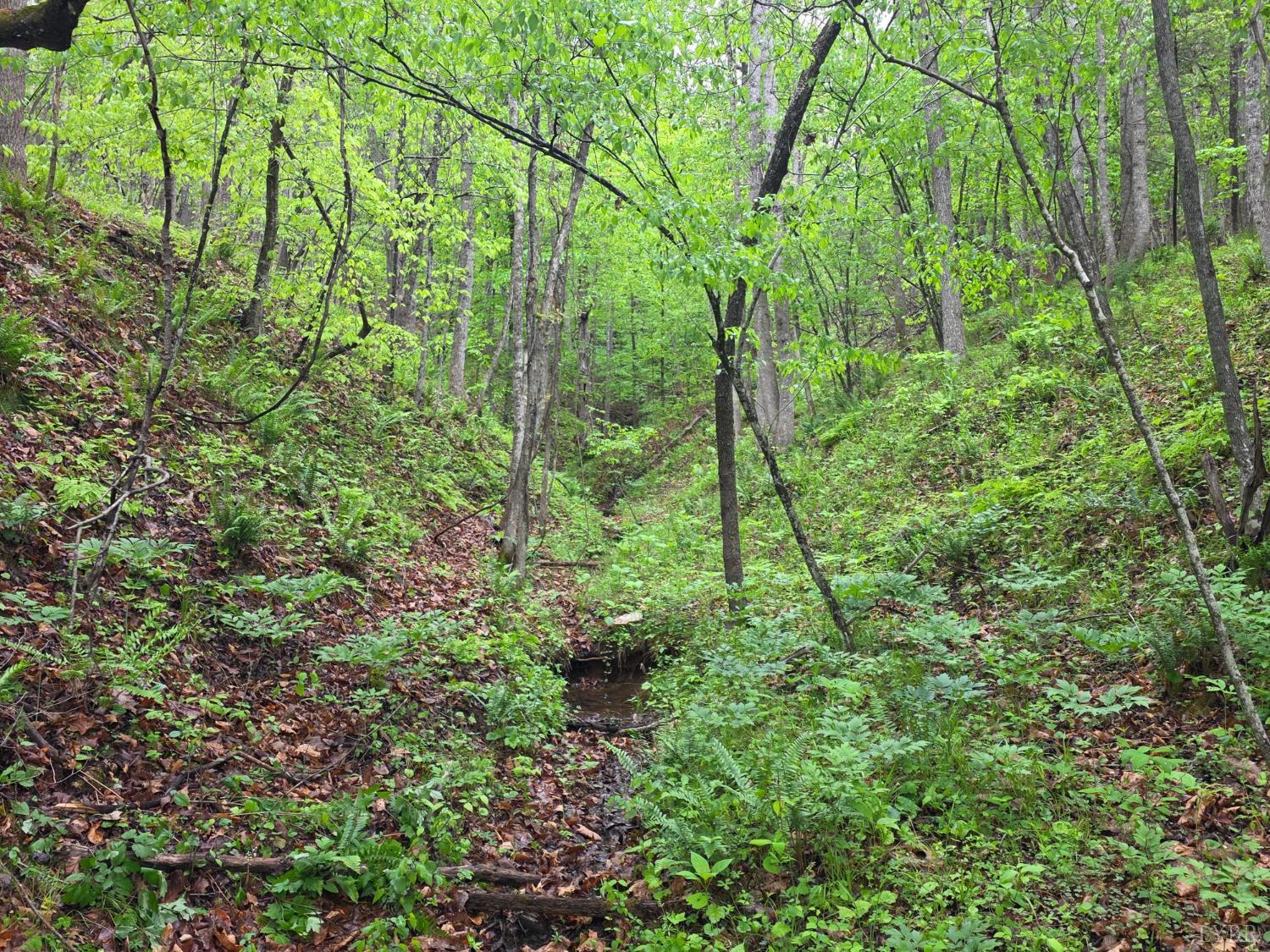 0 Dreaming Creek Road Concord, VA 24538 - Photo 10 of 15