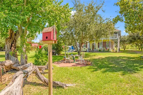 a view of a yard with plants