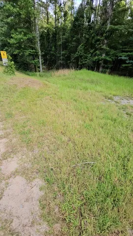 $280,000 | 0 Barnes Mill Road, Hamilton, GA 31811