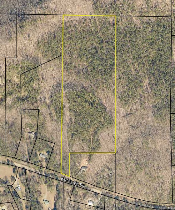 0 Barnes Mill Road Hamilton, GA 31811 - Photo 3 of 3