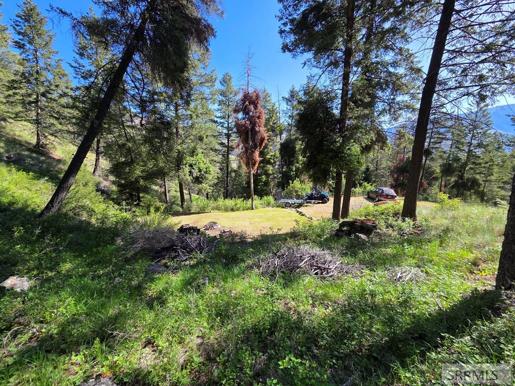 21 Pinetree Drive Salmon, ID 83467 - Photo 38 of 71