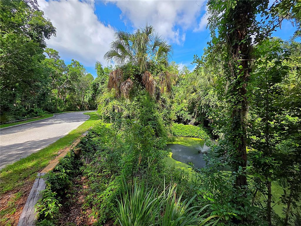 4876 Rambling River Road Brandon, FL 33511 - Photo 10 of 10 a view of a garden with plants and large trees