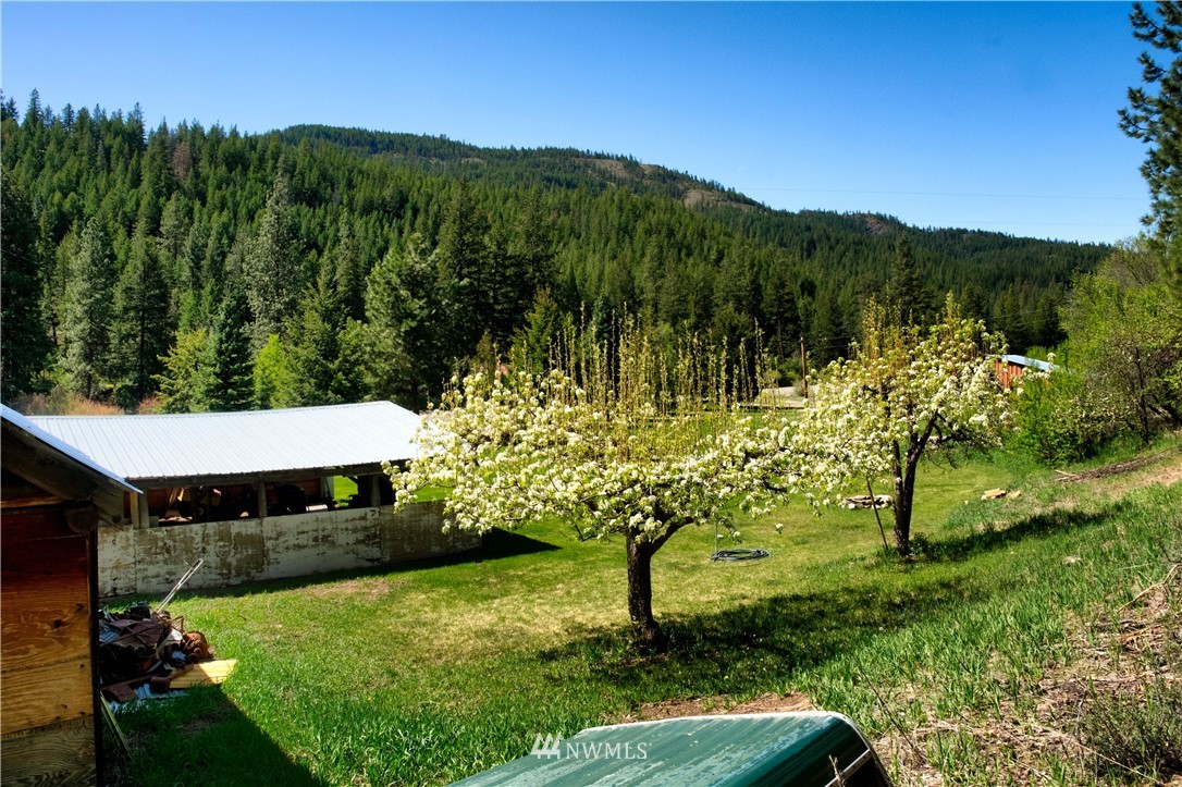 688 Twisp River Road Twisp, WA 98856 - Photo 14 of 39 Gallery Image 14