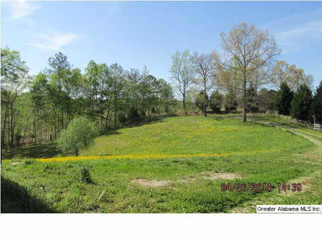 207 County Road 432 Fruithurst, AL 36262 - Photo 5 of 22